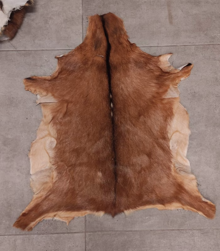 Adsız tasarım - 2025-02-19T093045.391