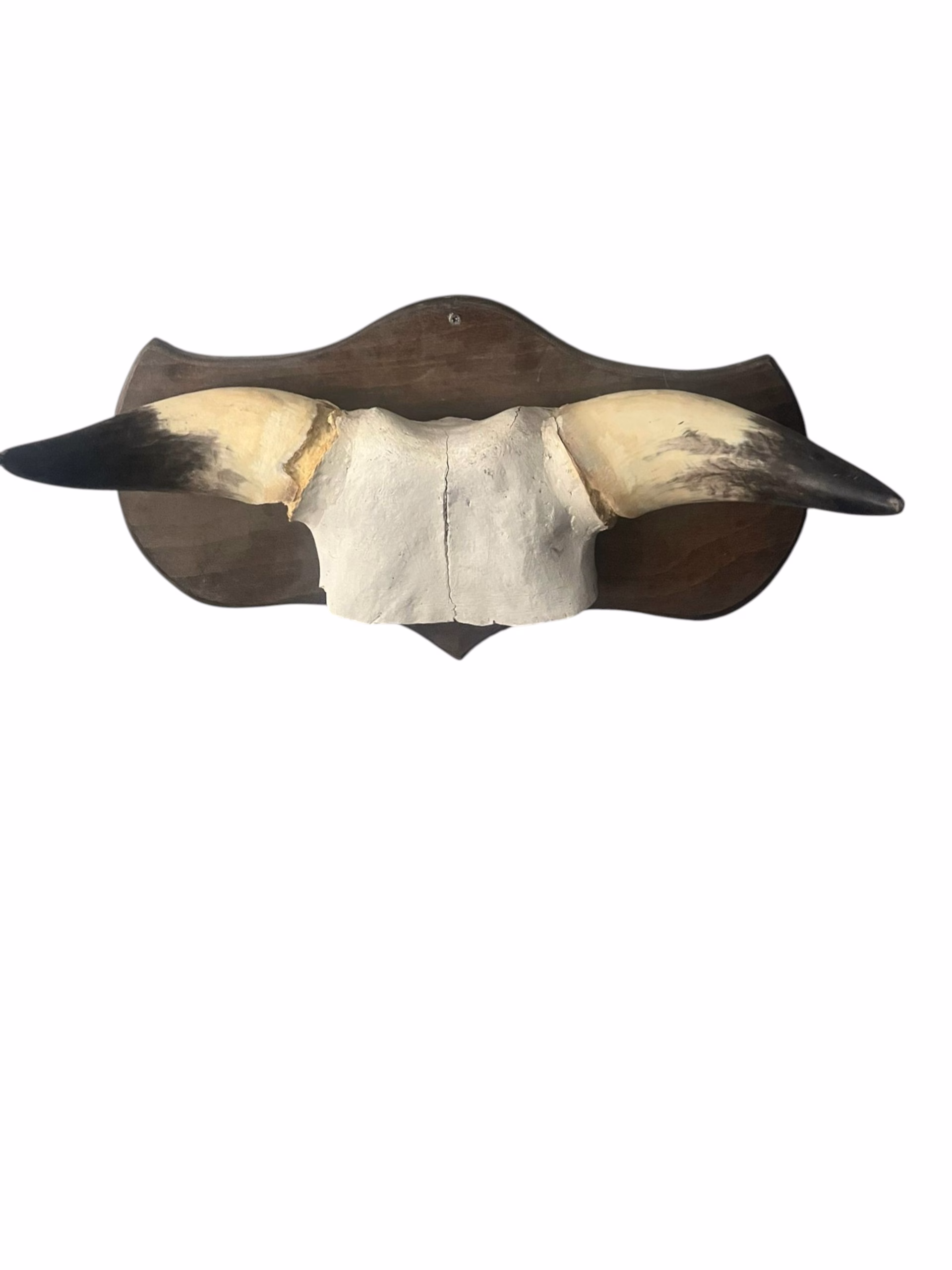 transparent-Photoroom (3)