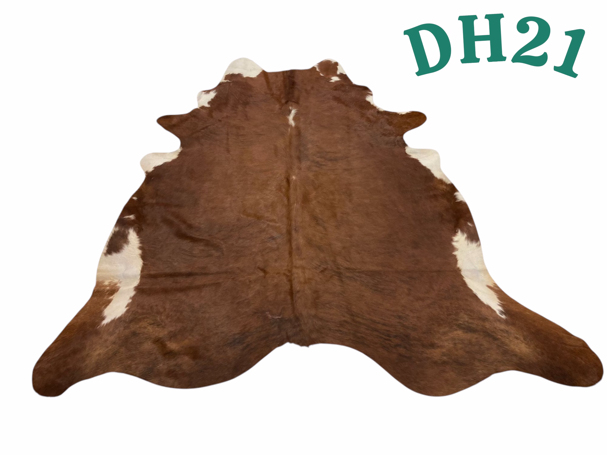 DH 21